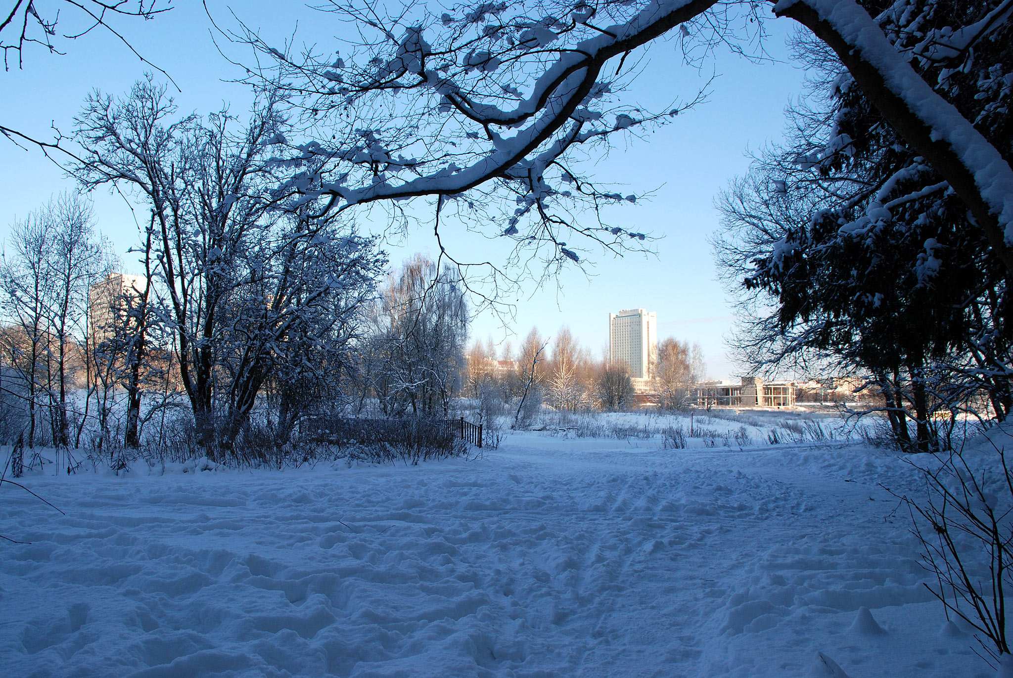 Zelenograd (Зеленоград)